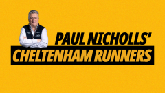 Image for Betfair Ambassador Paul Nicholls